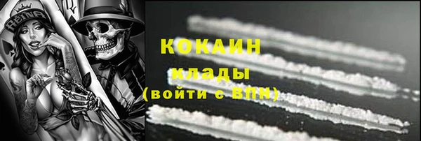 шишки Мегион