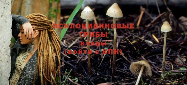 шишки Мегион