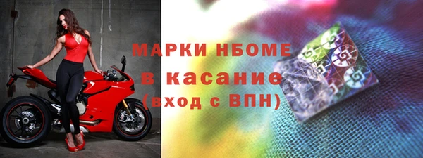 индика Всеволожск