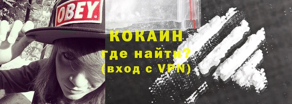 шишки Мегион