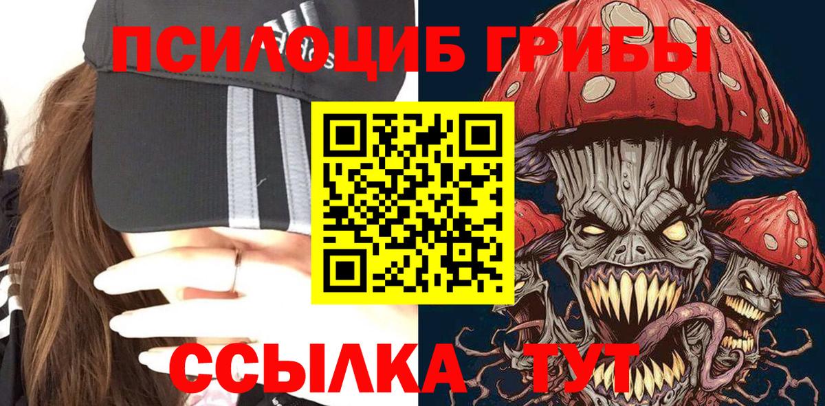 Людиново  Галлюциногенные грибы Psilocybine cubensis  где купить наркотик  Галлюциногенные грибы GOLDEN TEACHER  Вход с VPN 