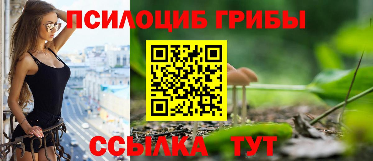 Галлюциногенные грибы мицелий Людиново